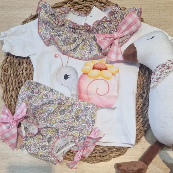 CONJUNTO CARACOL